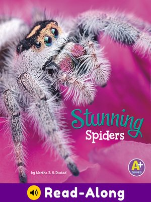 cover image of Stunning Spiders